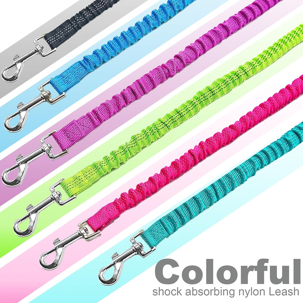 Mycicy anti pull dog lead being used for outdoor obedience training with a medium dog.