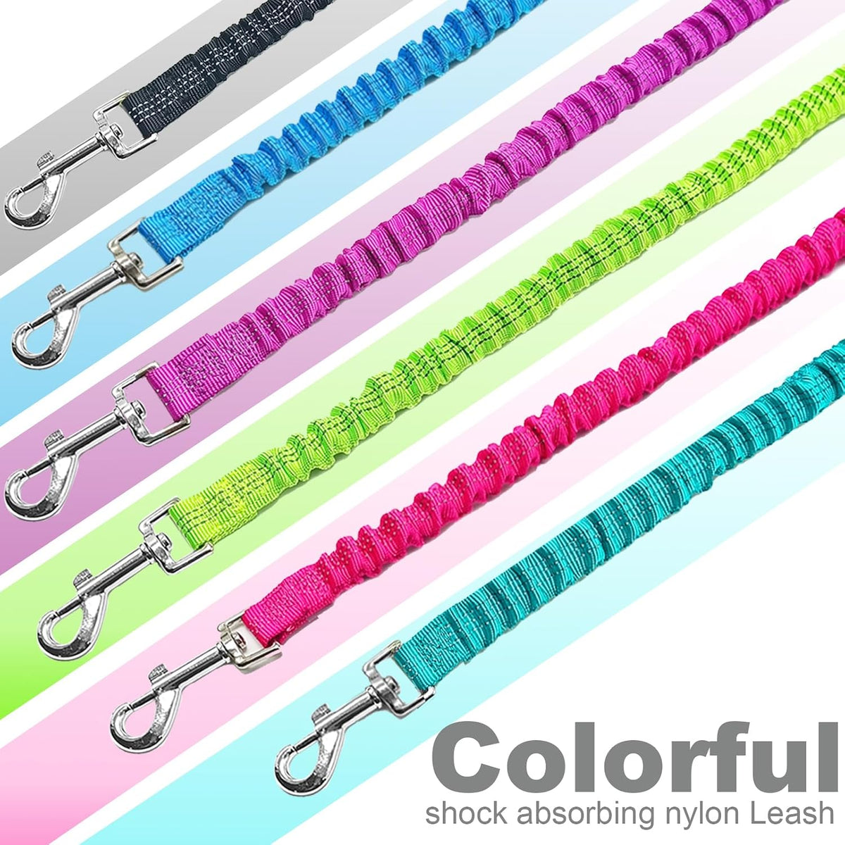 Mycicy anti pull dog lead being used for outdoor obedience training with a medium dog.
