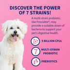 Authentic USA imported pet probiotic supplement