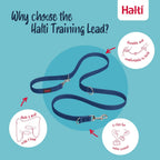 Halti two meter training leash showcasing premium webbing and reflective stitching.