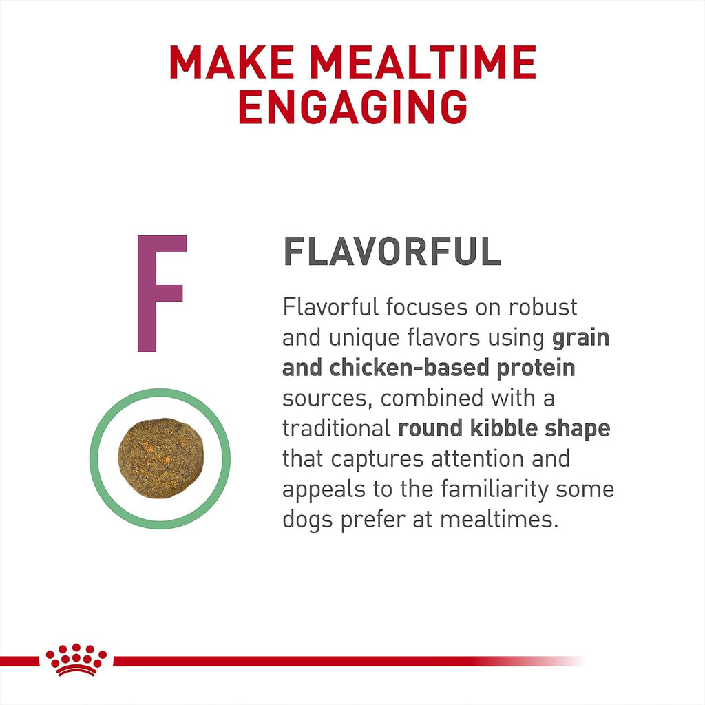 High quality protein and veterinary exclusive icons on the Royal Canin renal care dog food package.