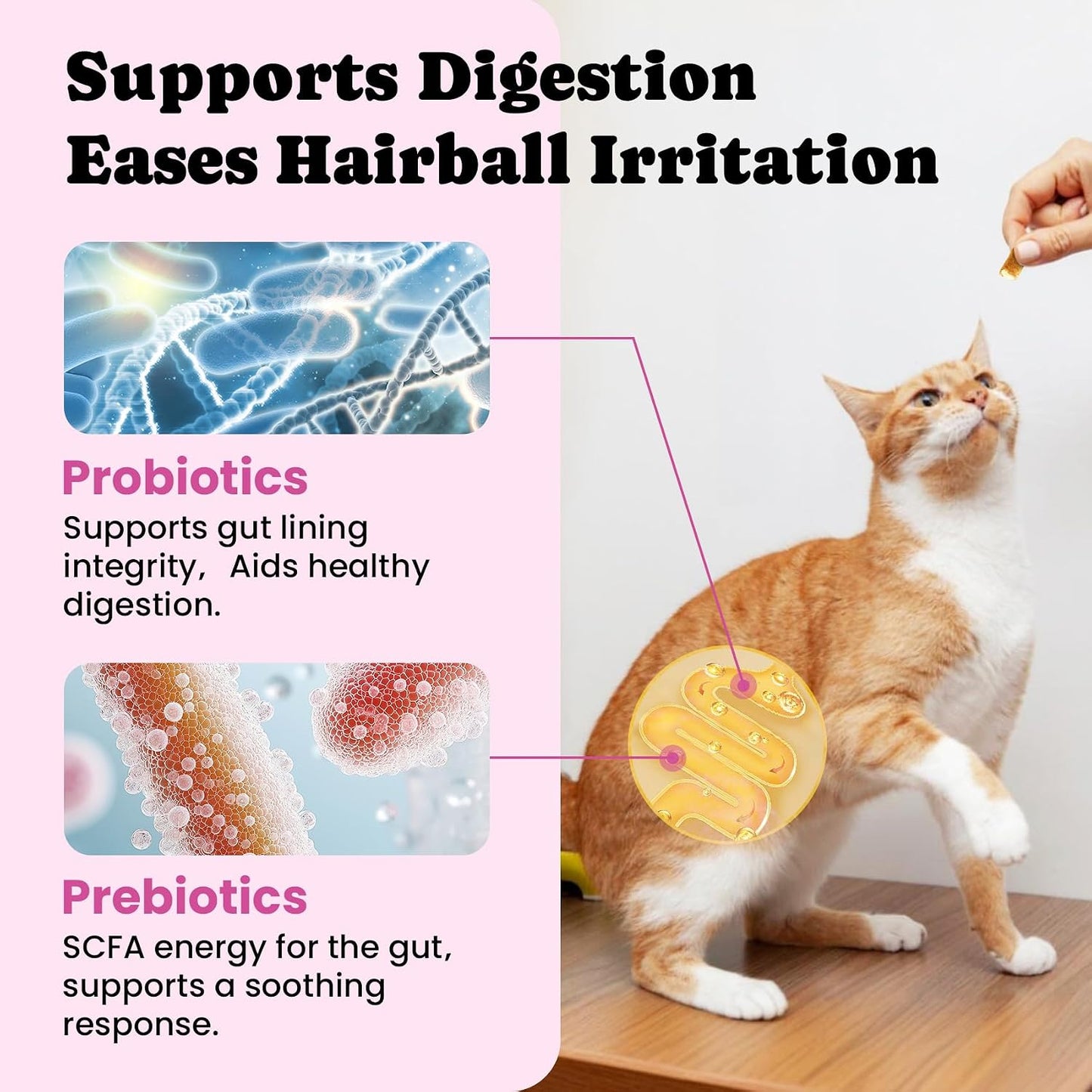 Psyllium husk and fish oil natural hairball passage for cats