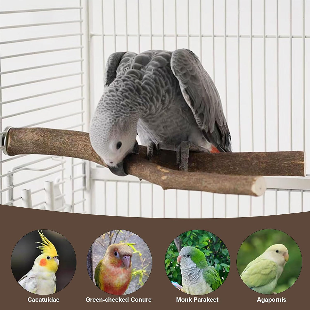 6 PCS Bird Perch Set - Image 8
