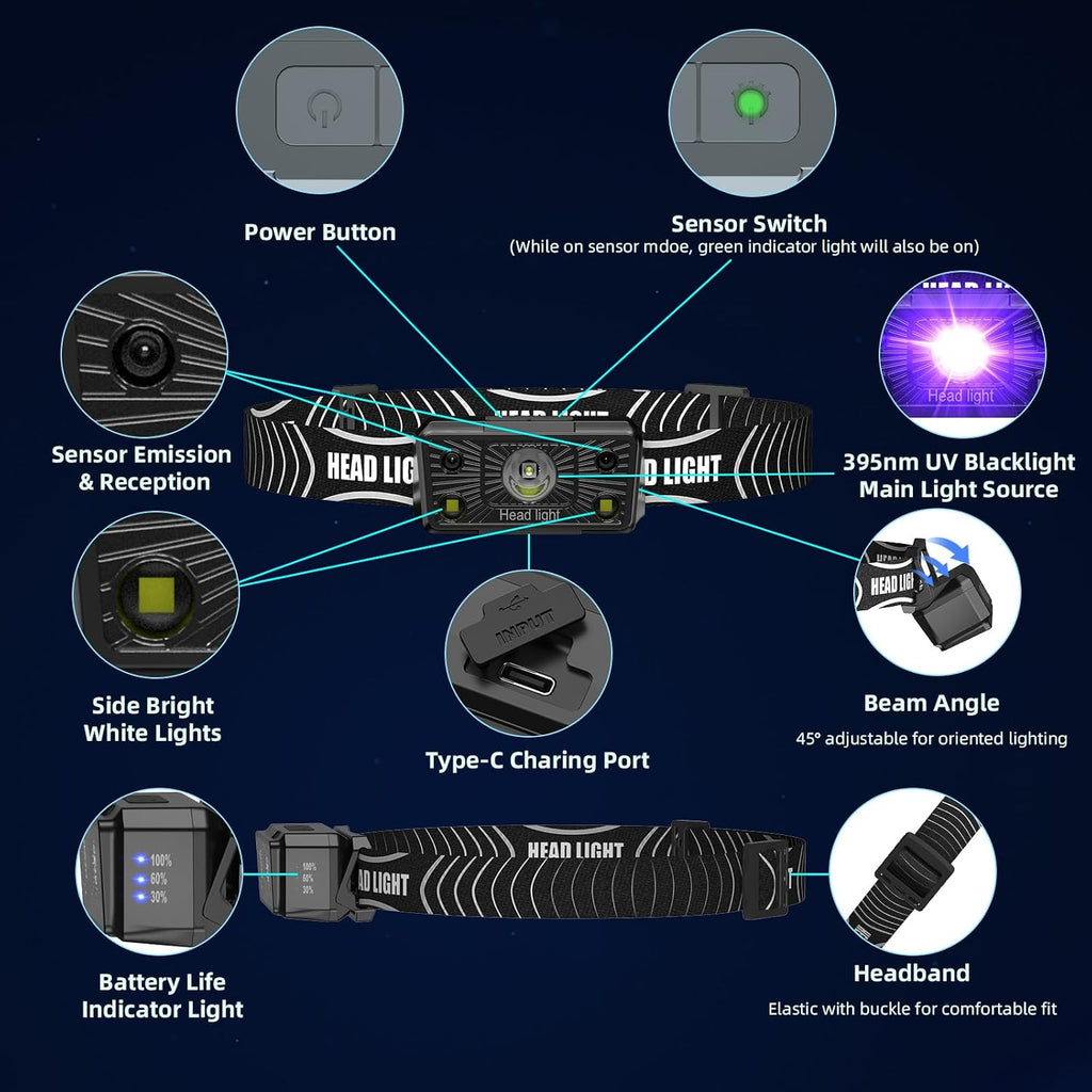 Ultraviolet light beam detecting scorpions and bed bugs in a dark indoor environment