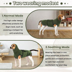 Rear view of dog wearing Idomik anxiety vest showing reflective strips