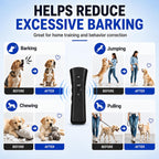 Pet training device with LED flashlight active