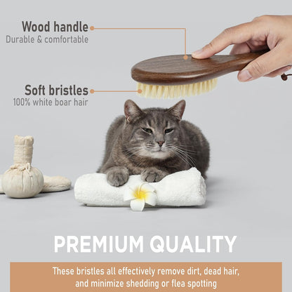 Takavu cat brush for indoor cats highlighting the natural white boar bristles close up