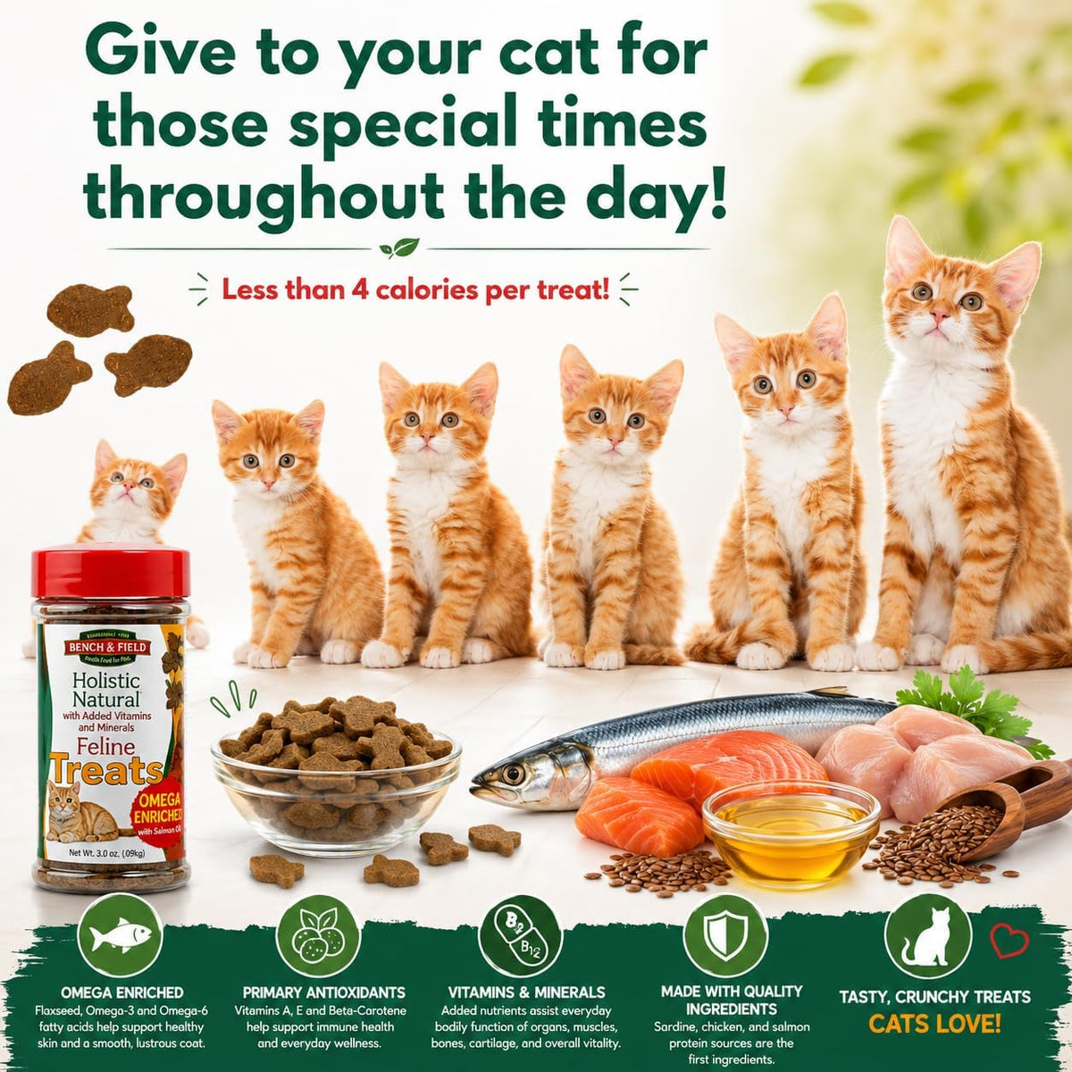 Bench And Field cat treats jar side profile and size reference