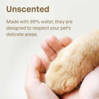 Eco-friendly cellulose fiber pet wipes for daily paw cleaning.