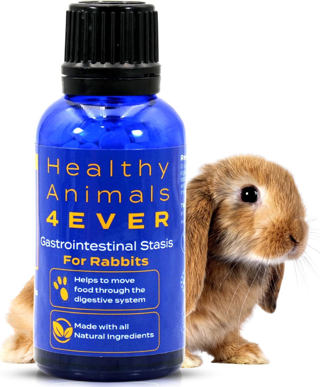 HealthyAnimals4Ever Rabbit Gastrointestinal Stasis Treatment blue bottle front view authentic USA imported pet care