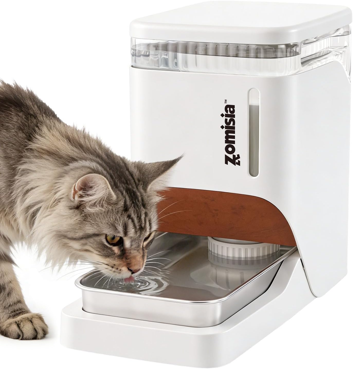 ZOMISIA large capacity automatic pet water bowl setup presentation for multi pet homes