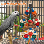 Close-up of sturdy nuts and camphor wood on parrot toy