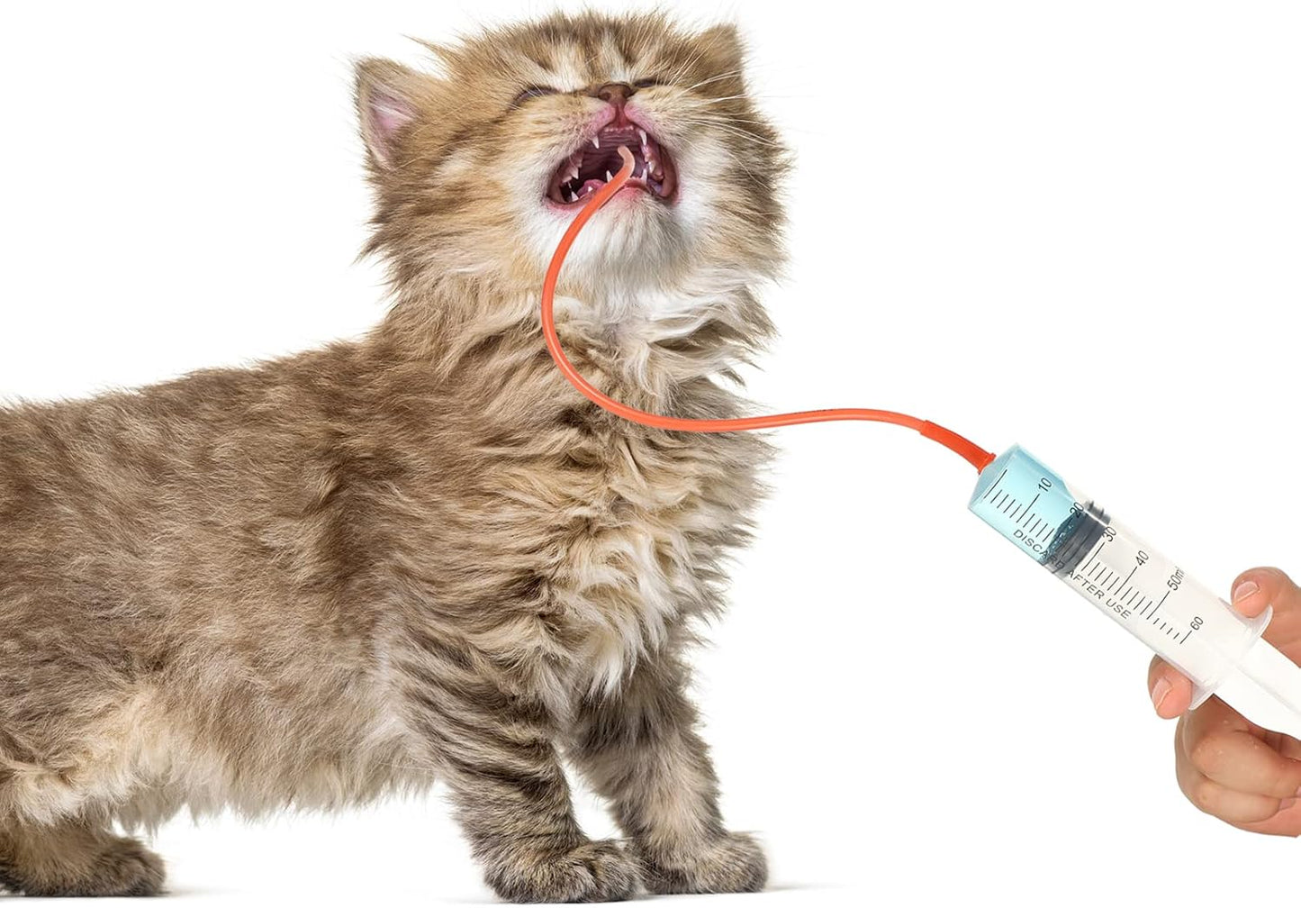 Flexible rubber veterinary feeding tubes for weak or orphaned newborn pets