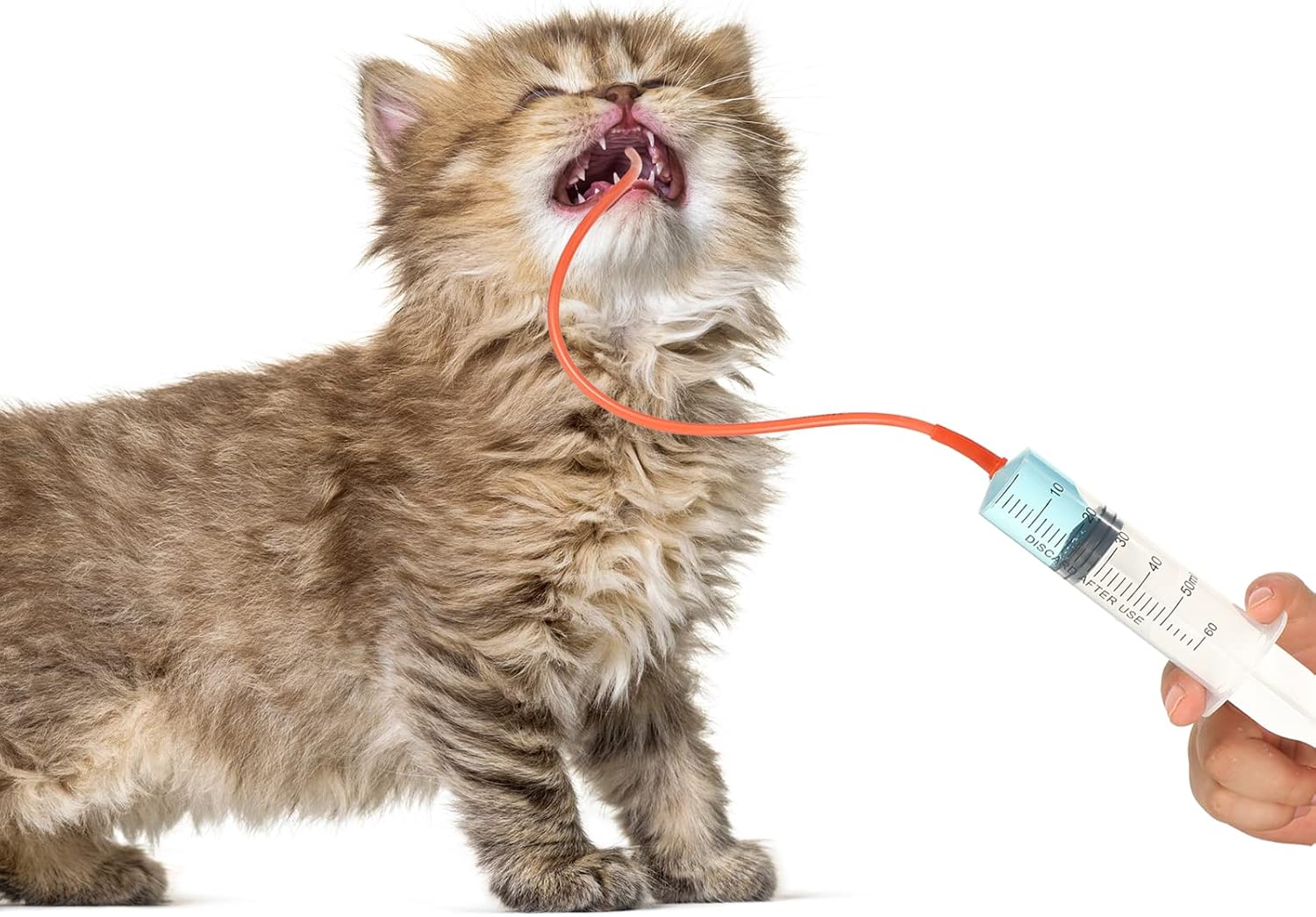 Flexible rubber veterinary feeding tubes for weak or orphaned newborn pets