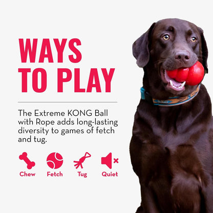 KONG brand black natural rubber ball with attached chewing rope side profile