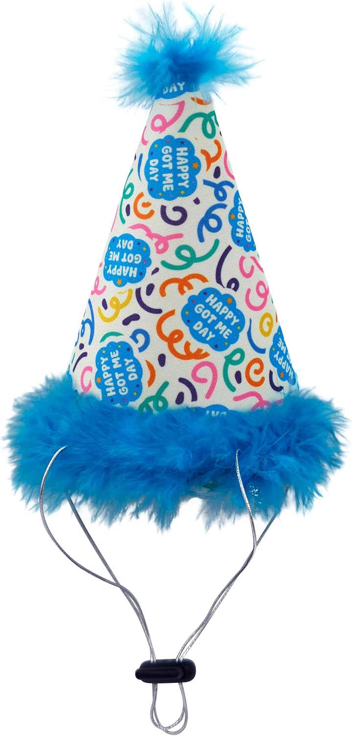 Adjustable sliding toggle on Huxley and Kent pet party hat