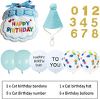 Customizable cat party hat with number 0-9