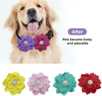 UBQUBQ premium imported cat and dog collar floral embellishments in diverse pastel shades