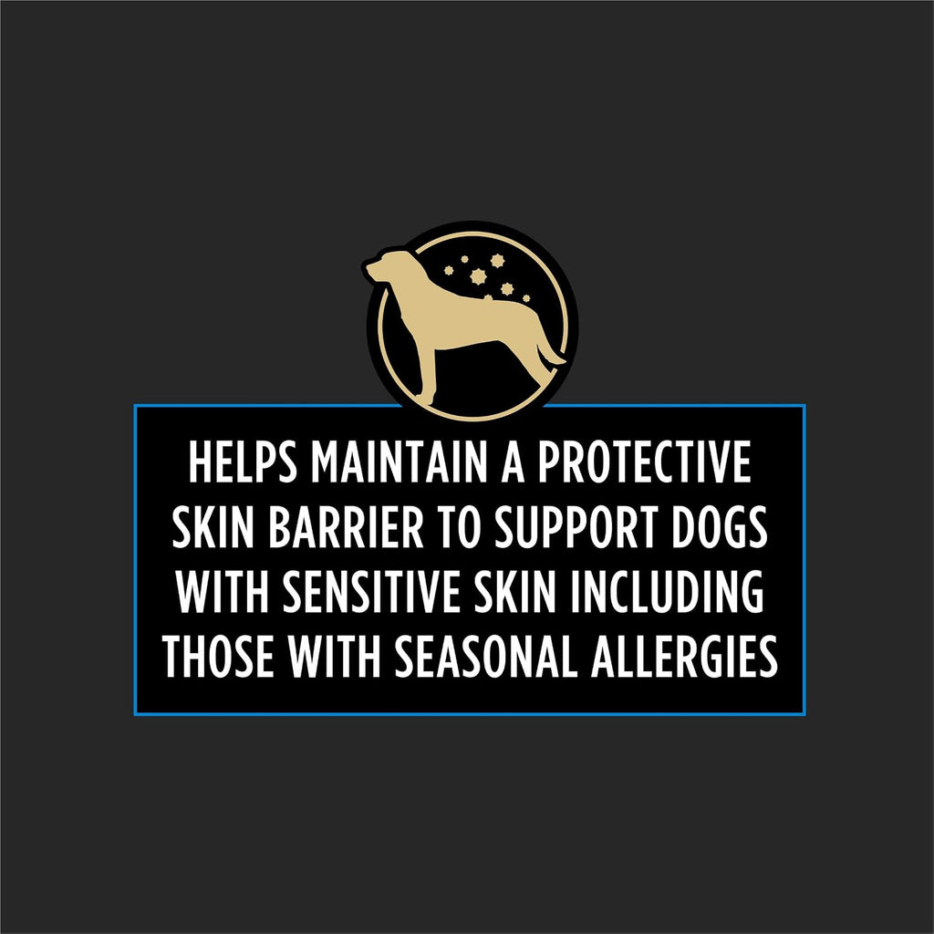 Premium dog supplement for seasonal allergy relief and immune support