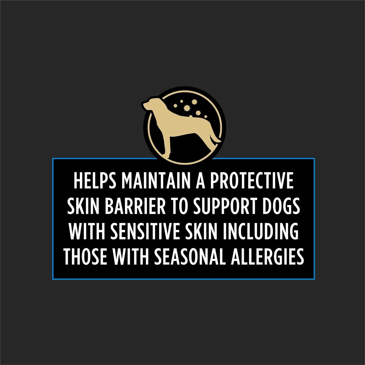Premium dog supplement for seasonal allergy relief and immune support