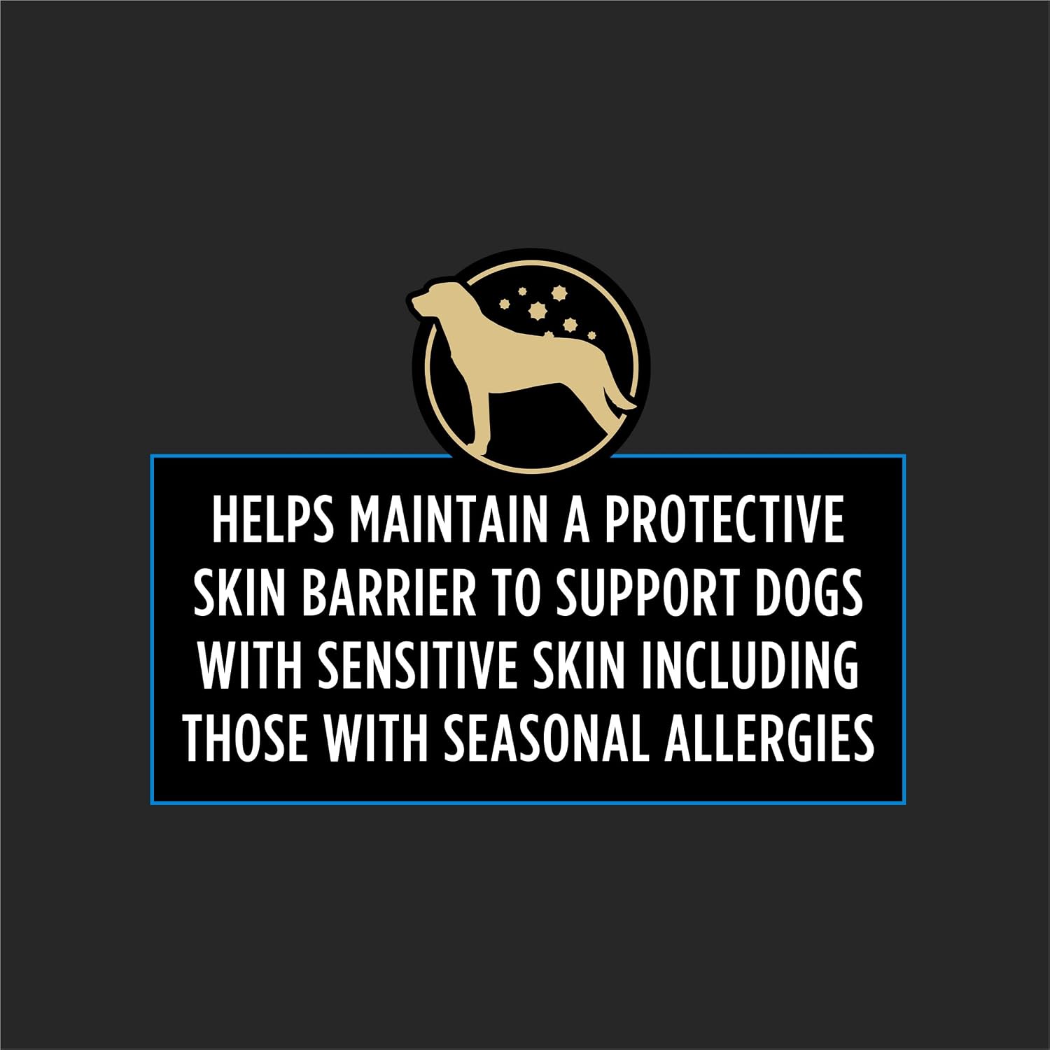 Premium dog supplement for seasonal allergy relief and immune support