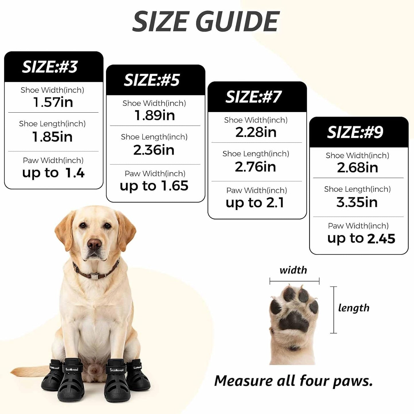 Dog wearing Scenereal protective footwear for hot ground