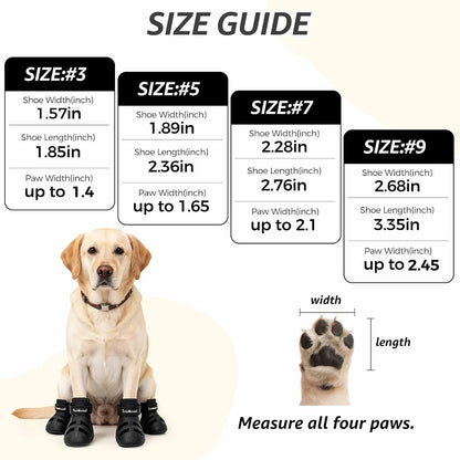 Dog wearing Scenereal protective footwear for hot ground