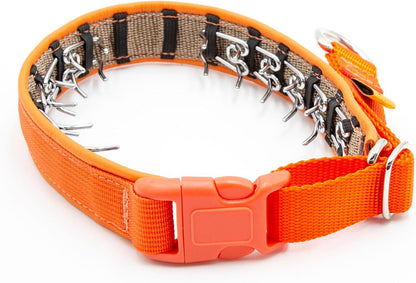 Keeper Collar heavy duty chrome links hidden dog training setup