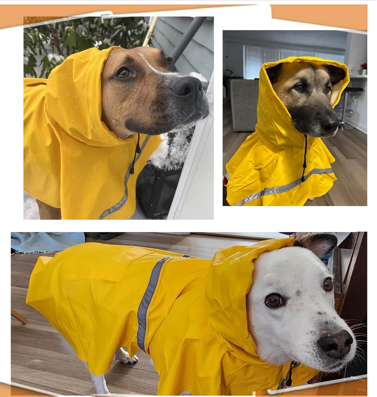 HAPEE pet rain outerwear back view showcasing elastic hind leg security loops