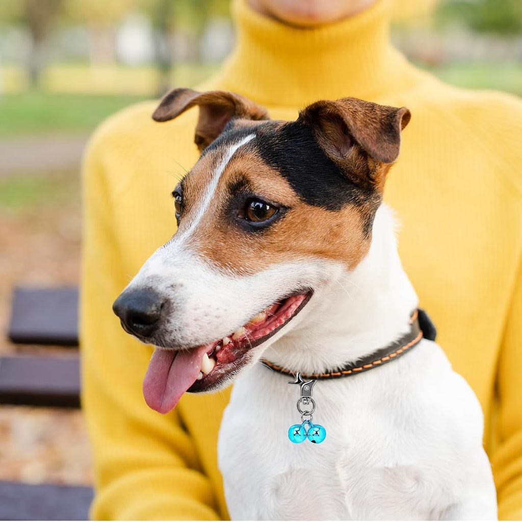 Stainless steel pet collar accessories showing snap mechanism