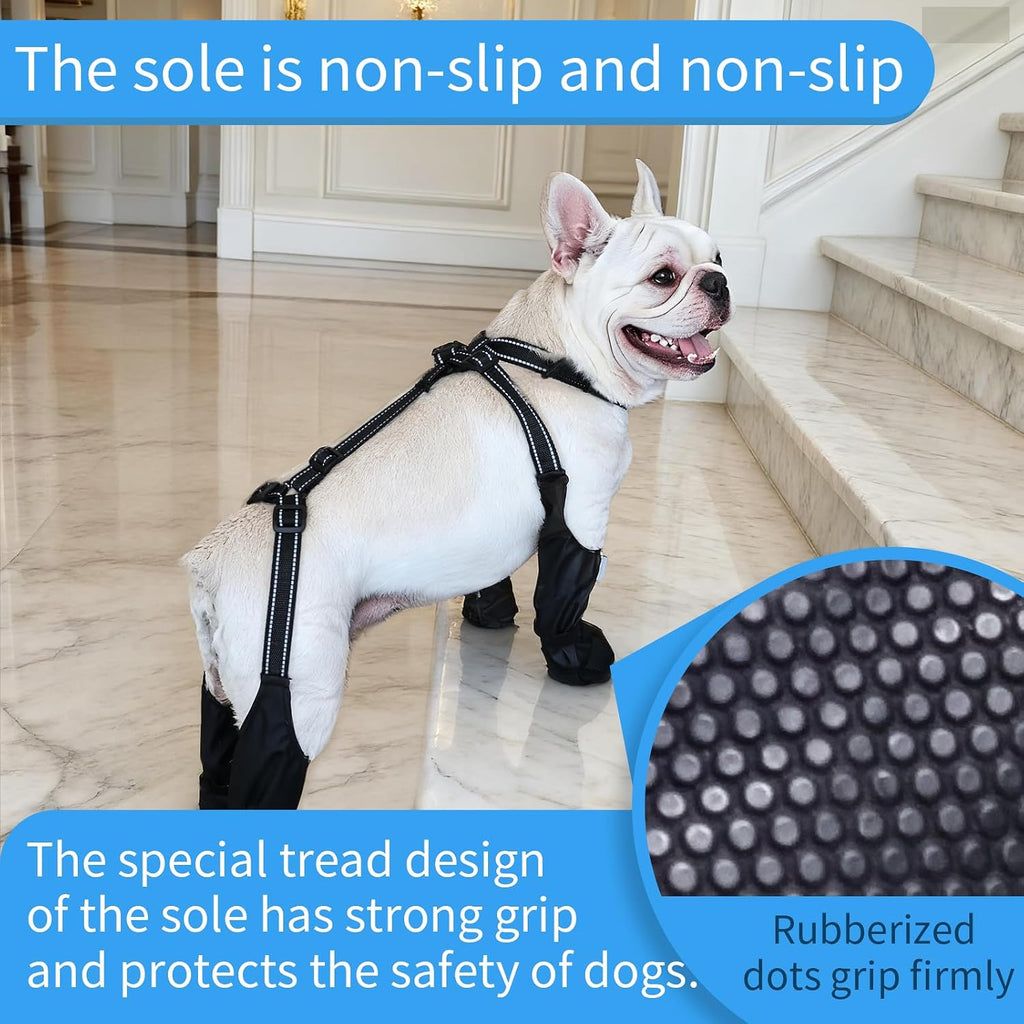 Dog wearing black BECROWM suspender boots outdoors