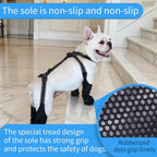Dog wearing black BECROWM suspender boots outdoors