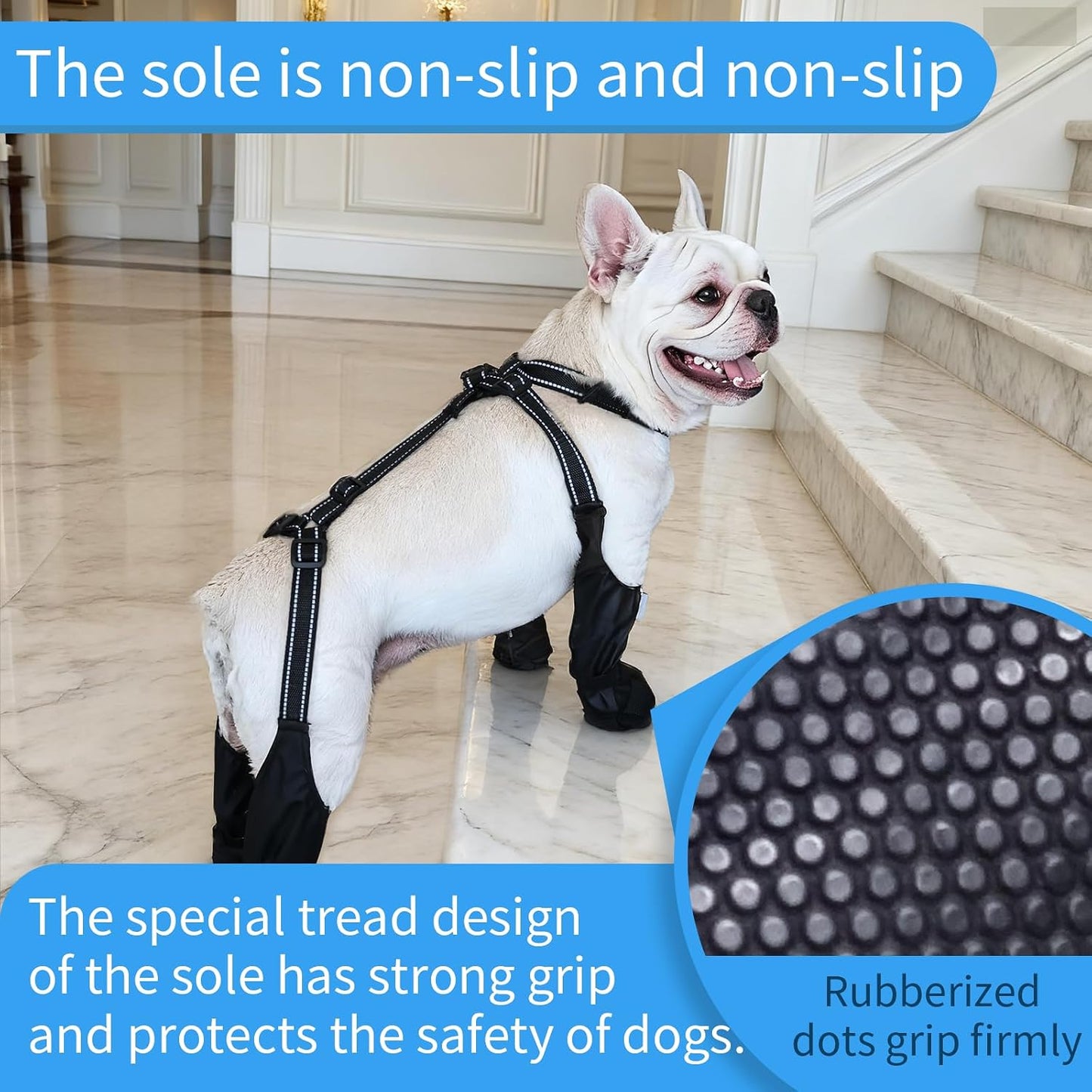 Dog wearing black BECROWM suspender boots outdoors