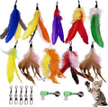 AINTE 10 Pieces Cat Feather Toy Refills front view package layout