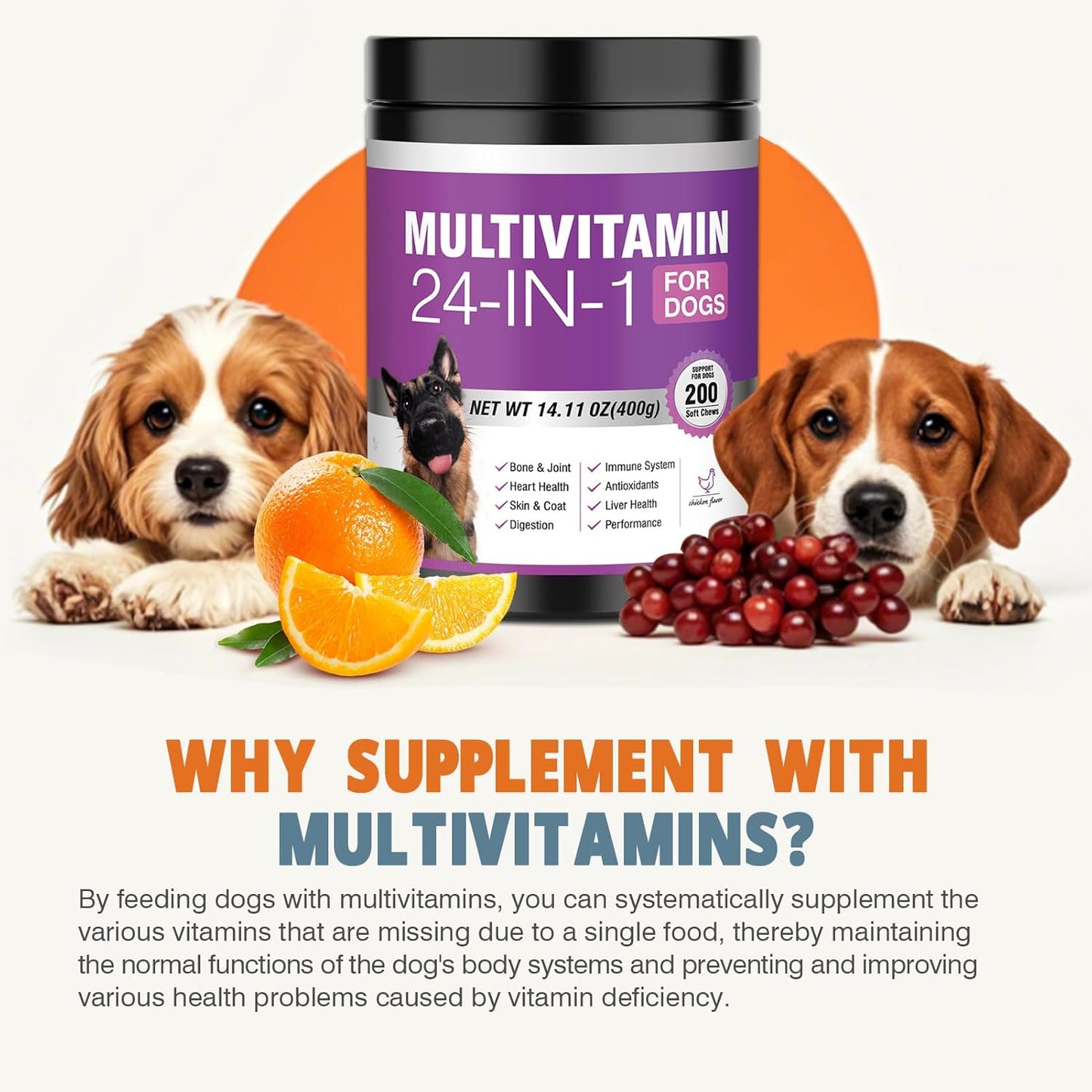 Imported USA pet multivitamin tablets for skin and coat care