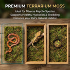 Close up of moisture retaining terrarium bedding material