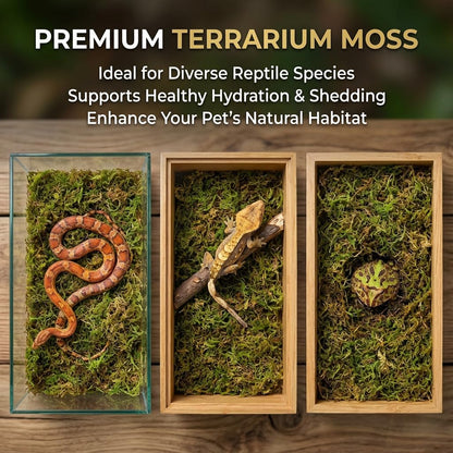 Close up view of the fibrous texture of premium highly absorbent terrarium moss for frogs and turtles