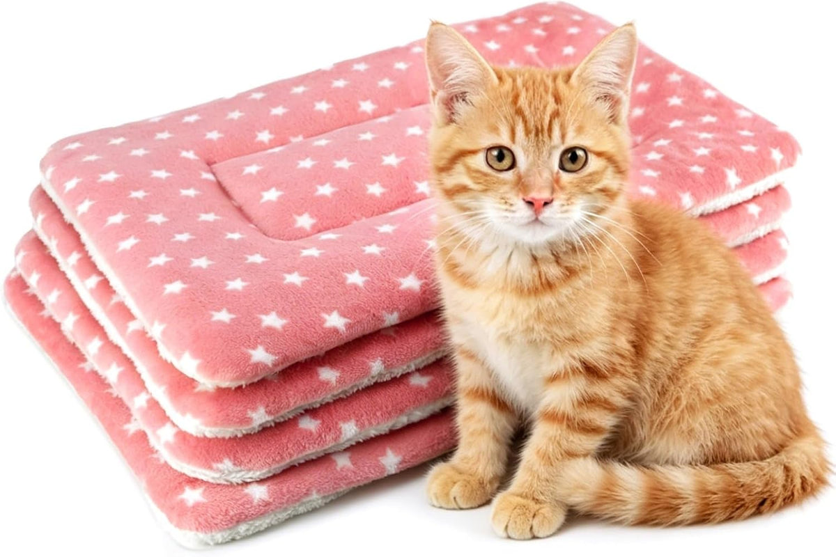 4 Pack Cat Bed Mat, 19" x 13" Soft Fluffy Flannel Small Pet Blanket, Washable Sleeping Pad for Indoor Cats, Kittens, Puppies, Star Print - Grey - Image 11