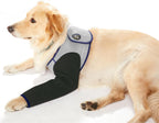 Coodeo Dog Recovery Suit, Cone Collar Alternative, Abrasion Resistant Dog Recovery Sleeve, Washable 2.5mm Thick and Waterproof, Pet Wounds Prevent Licking, Bite, Keep DryBlue2XL - Image 9
