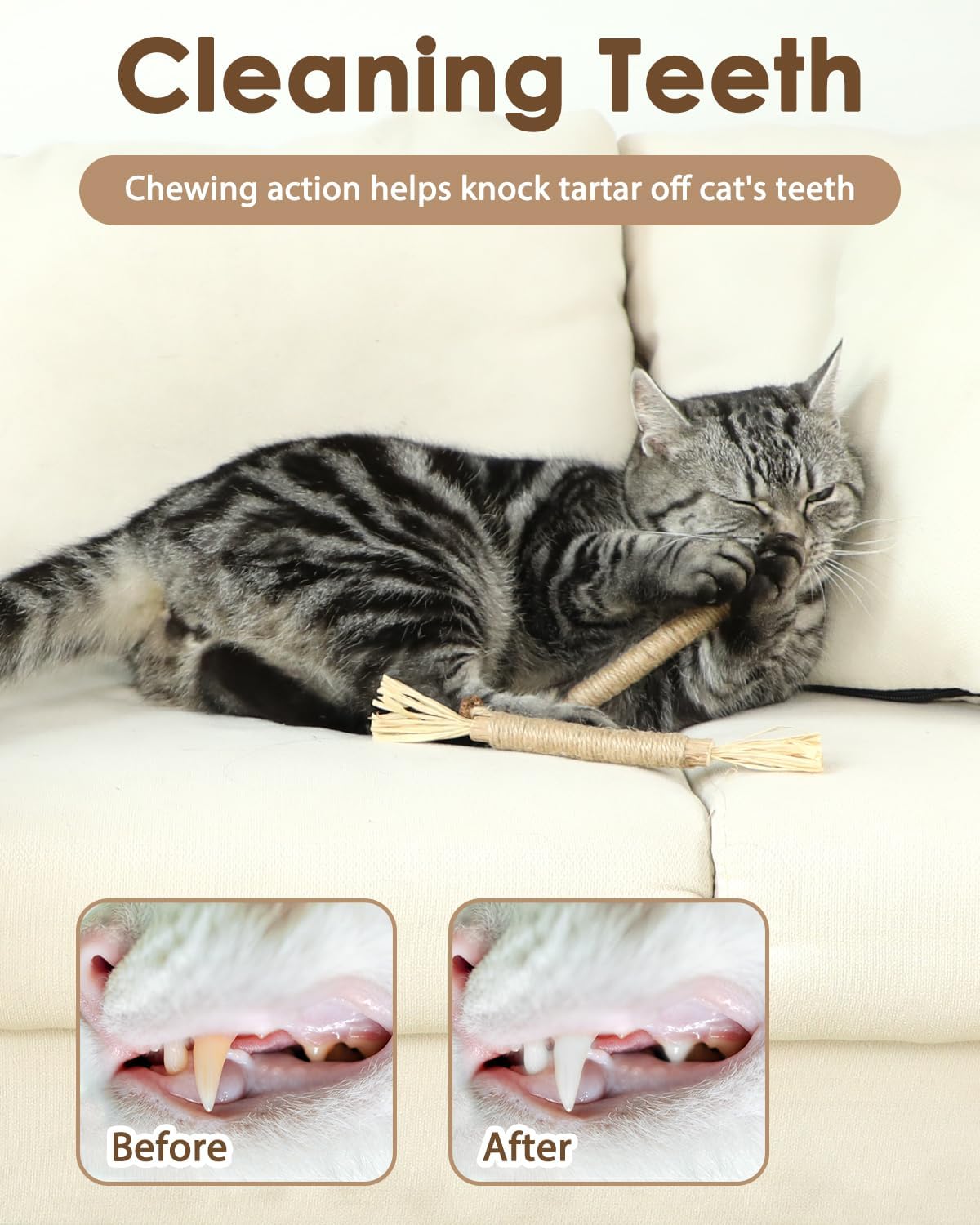 Cat playing with Tocirelo silvervine chew toy