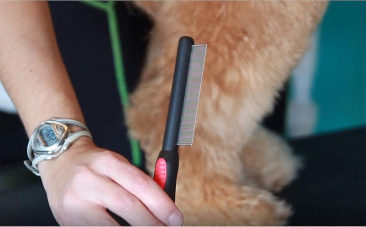 Ryan's Pet Supplies professional dog grooming flea comb with handle