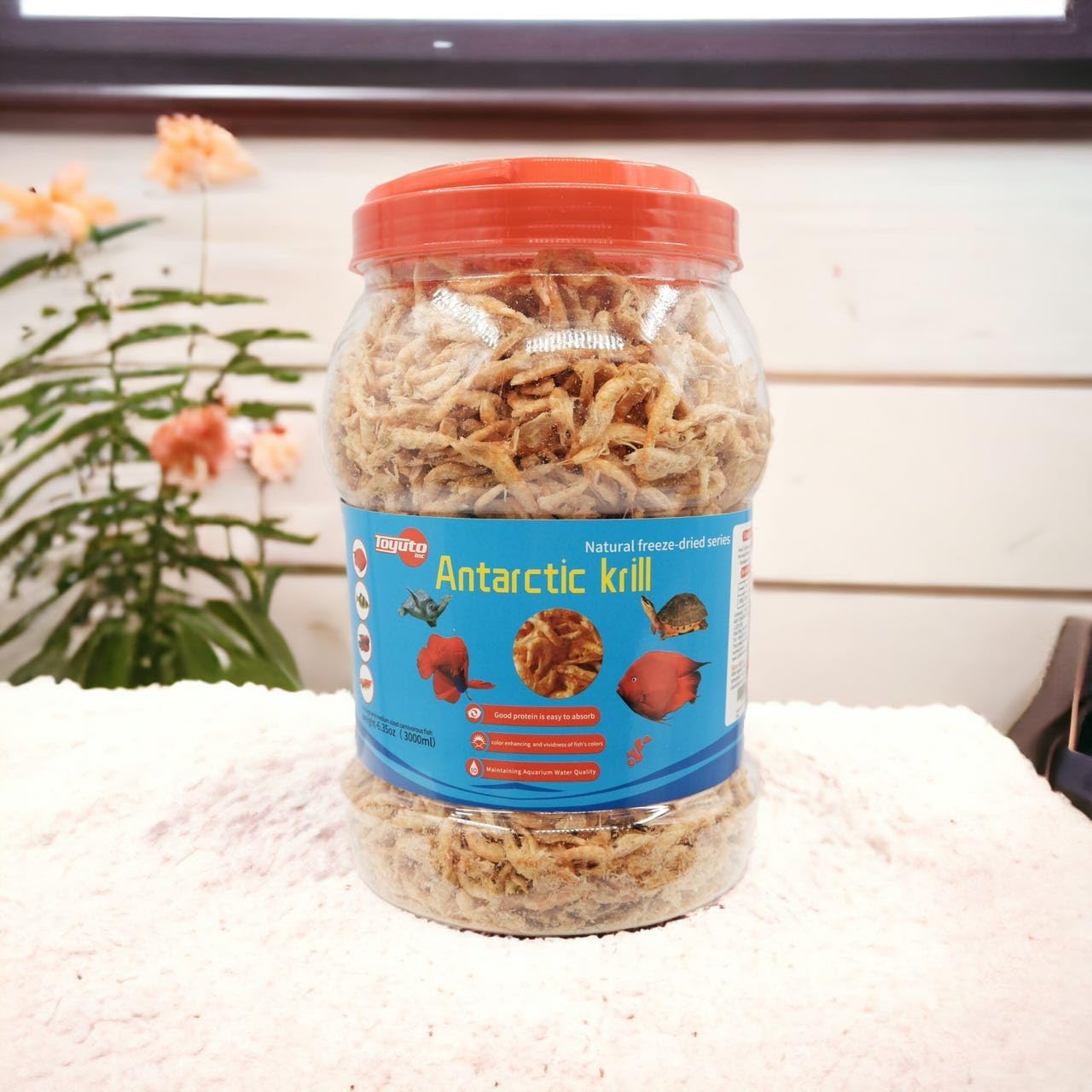 Toyuto high protein floating aquarium food for arowana and koi