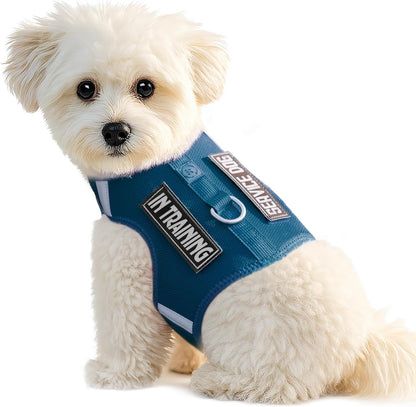 Dog Harness for Puppy - Adjustable Reflective Easy Put On Soft Mesh Vest for Small Dogs with 2 Patches (MARRS Green,XXS) - Image 13