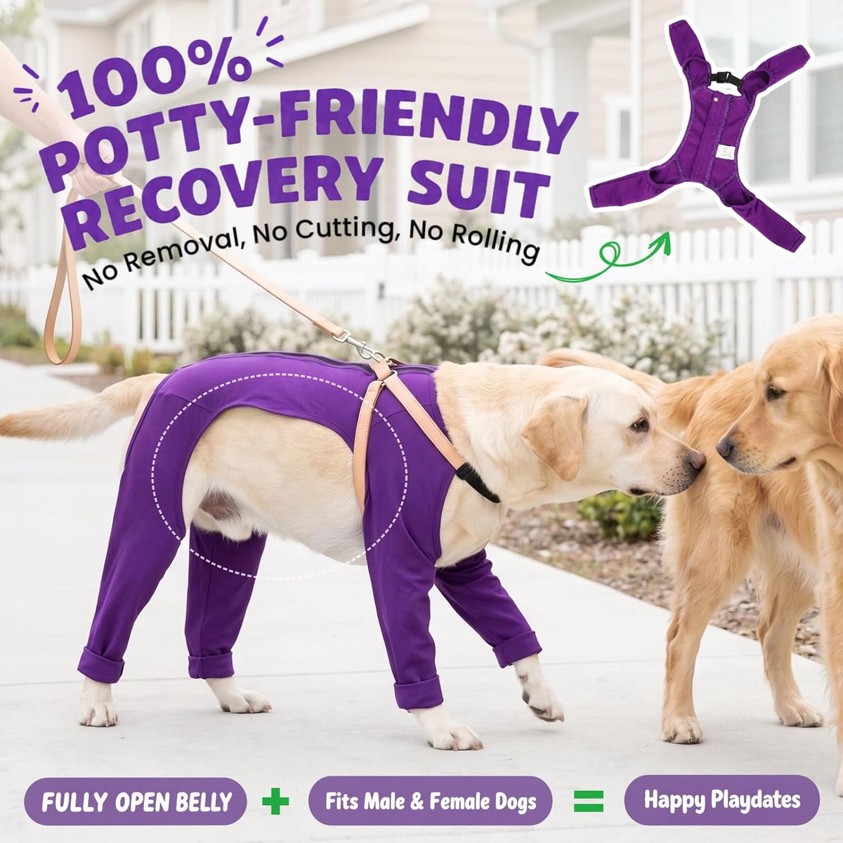 T'CHAQUE surgical onesie showing leg coverage for dogs