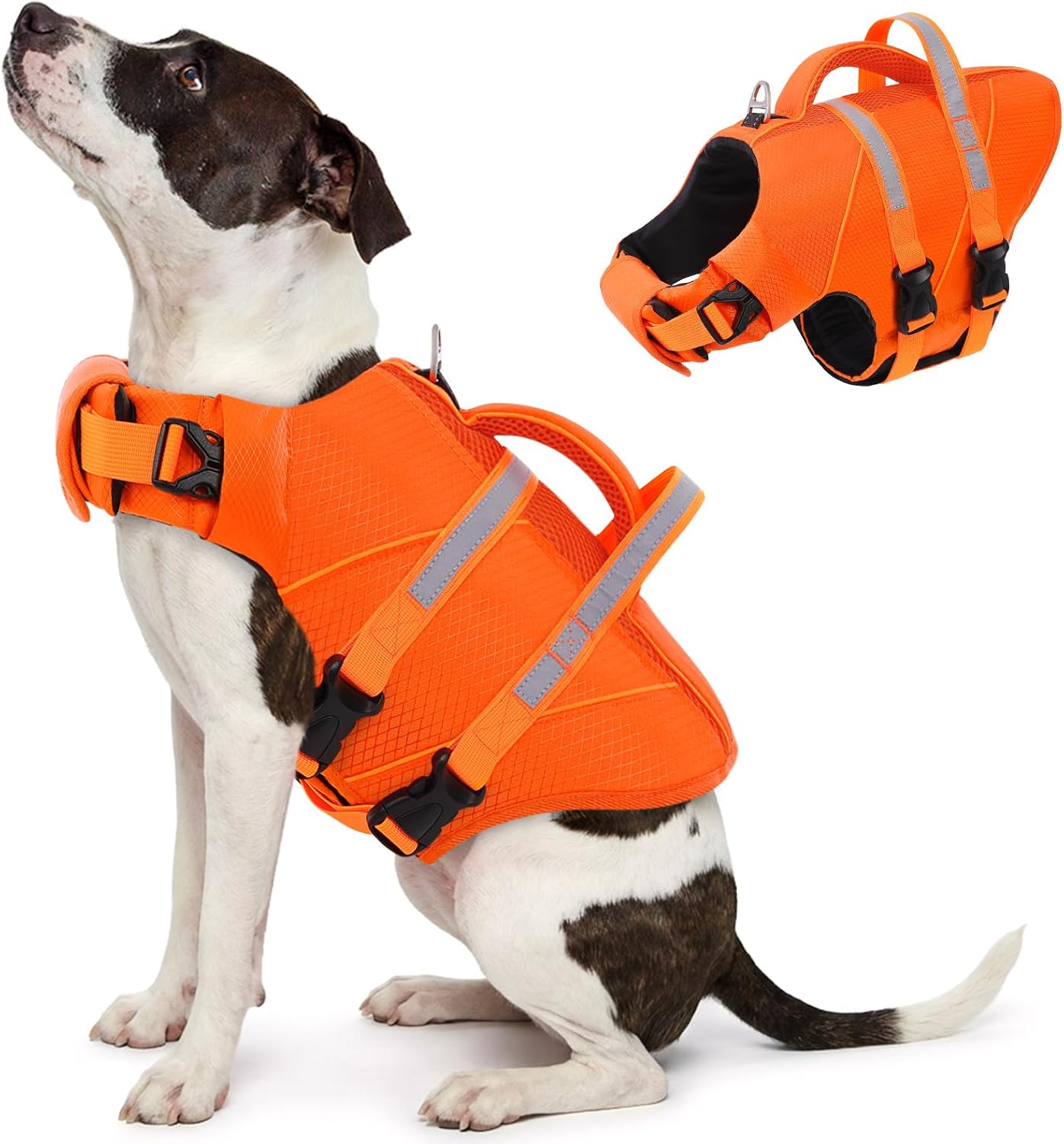 Queenmore small dog life jacket front view in bright orange