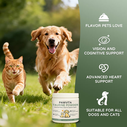 Fine white taurine powder being mixed into pet food bowl.