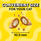 Temptations Cat Treats Classic Crunchy and Soft Cat Treats, Tasty Chicken Flavor, 30 oz. Tub - Image 9