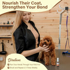 Glossy finish on an apricot poodle puppy after using pet hair oil