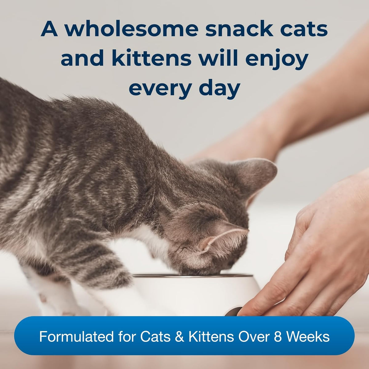 Cat drinking PetAg Cat-Sip liquid snack from bowl