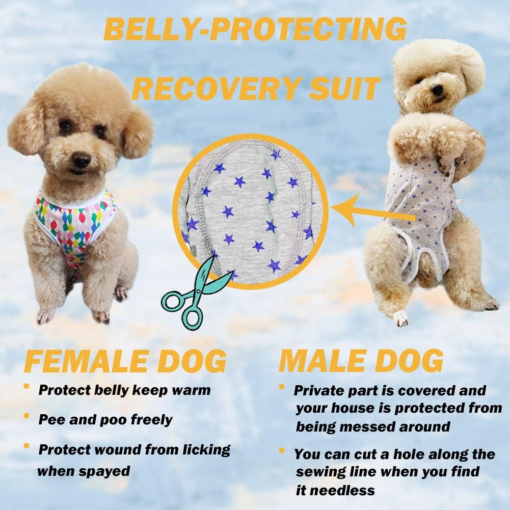 Demonstration of male dog potty opening on recovery suit